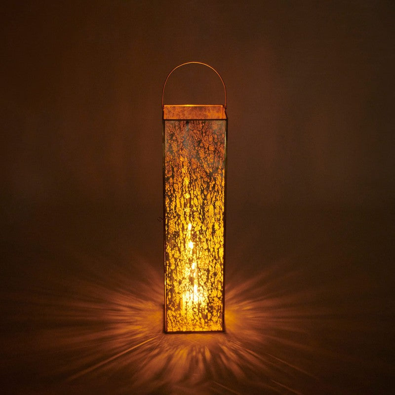 Orange Tree era Lantern media 4
