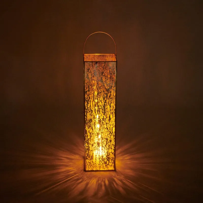 Orange Tree era Lantern media 4