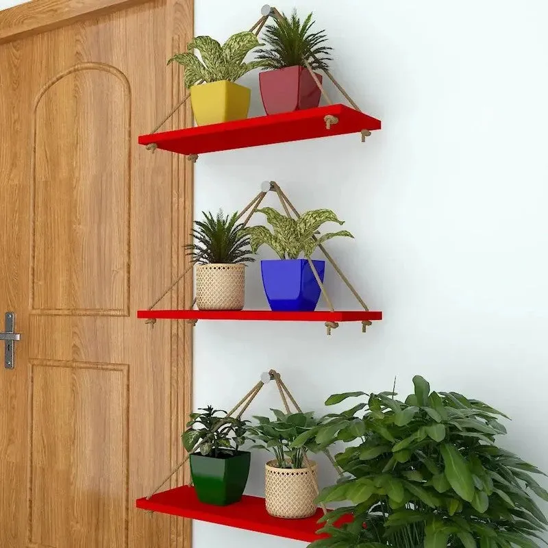 Home Glow (MDF,Wood) Shelves - Set Of Three media 4