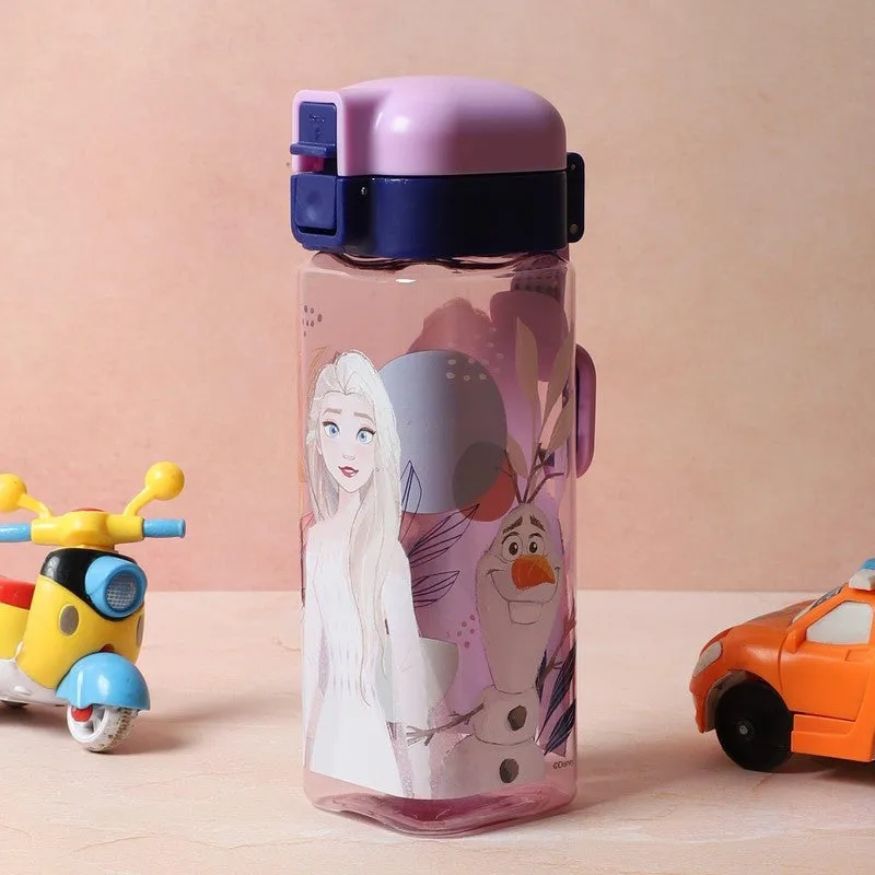 Rosa Frozen Water Bottle - 550 mL media 1
