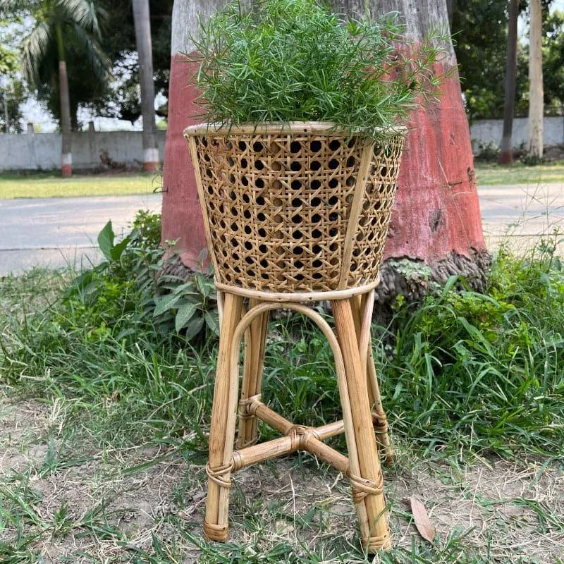 Lincoln Floor Planter media 4