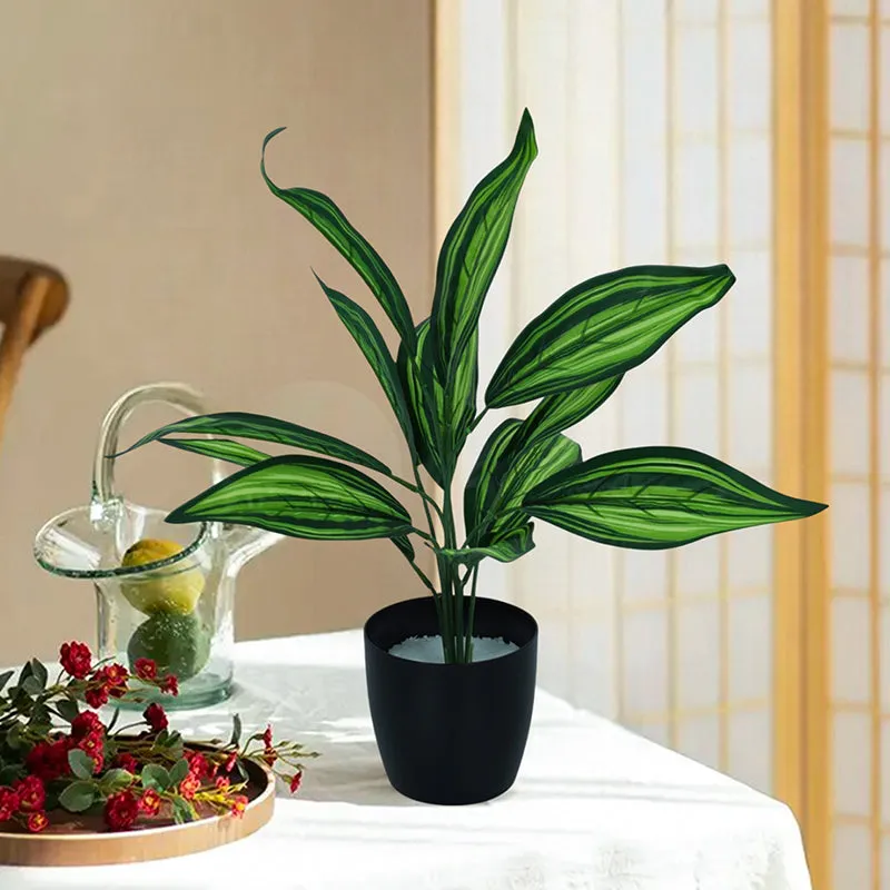 Edena Artificial Variegated Dracaena With Black Plastic Pot - 1.6 Feet media 2