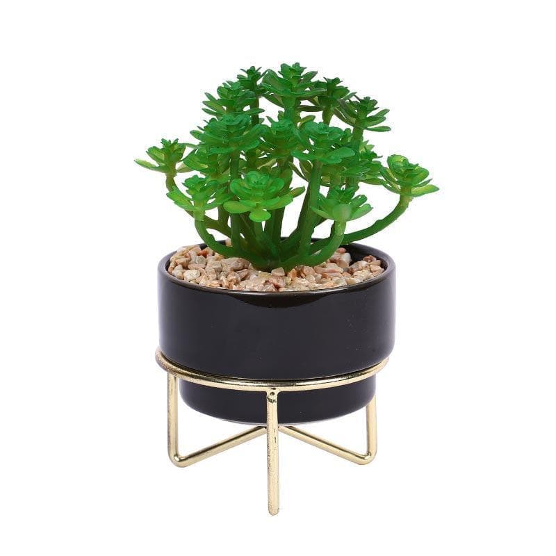 Faux Crassula In Ceramic Pot With Stand - 13.5 cms media 3