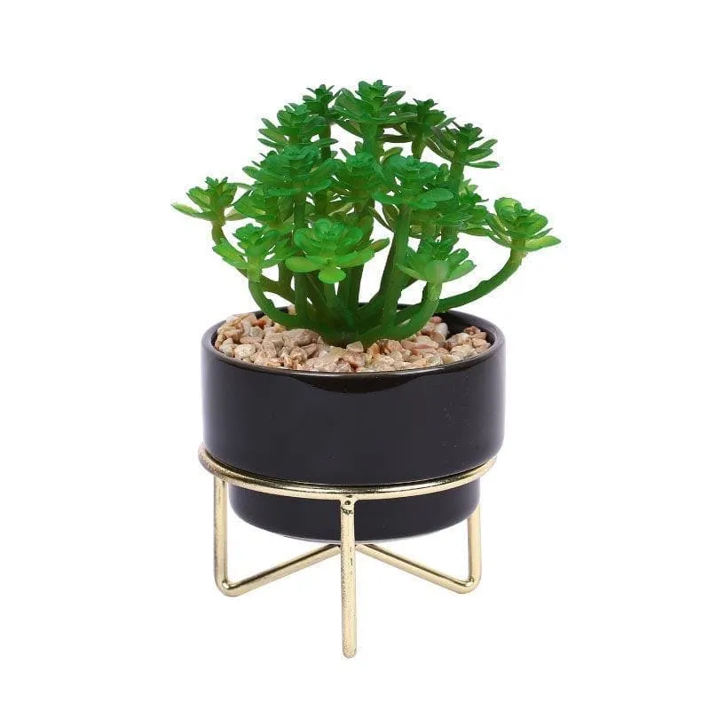 Faux Crassula In Ceramic Pot With Stand - 13.5 cms media 3