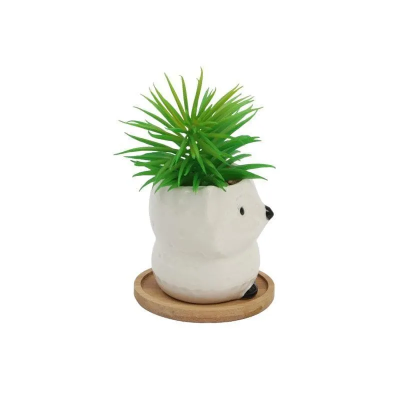 Faux Senecio In Foxy Face Pot - 13 cms media 3
