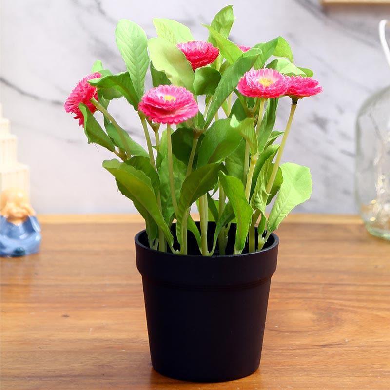 Faux Daisy Bonsai In Black Plastic Pot (25 cms) - Pink media 3