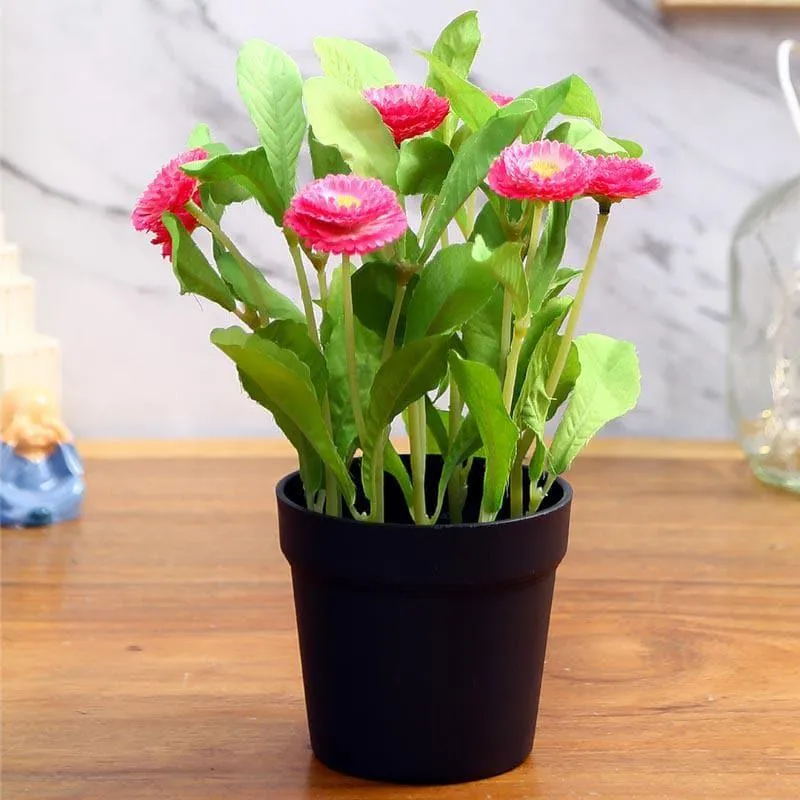 Faux Daisy Bonsai In Black Plastic Pot (25 cms) - Pink media 3