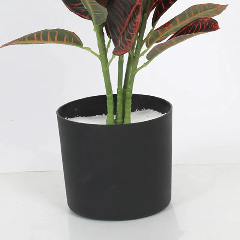 Cindra Artificial Red Croton Plant With Black Plastic Pot - 2.8 Feet media 4