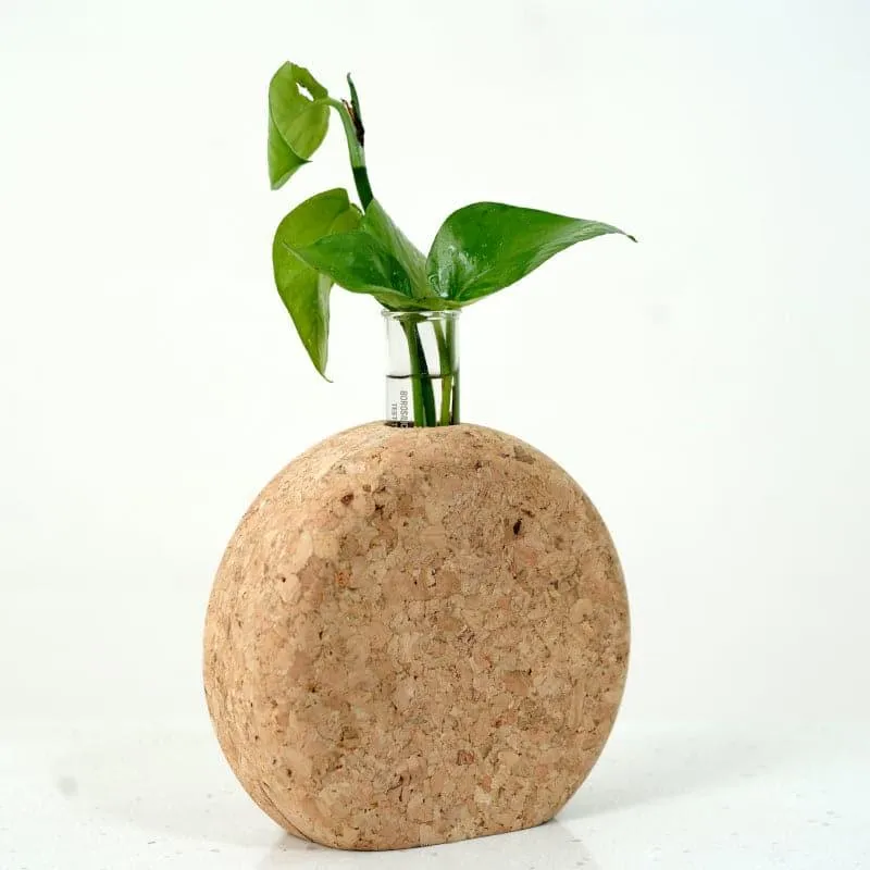 Sona Cork Testube Planter media 3