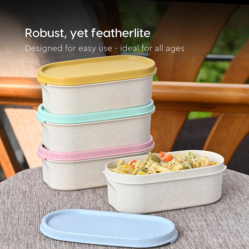 Terra Tote Tiffin Box (Multicolor Light) - Set Of Four image 6