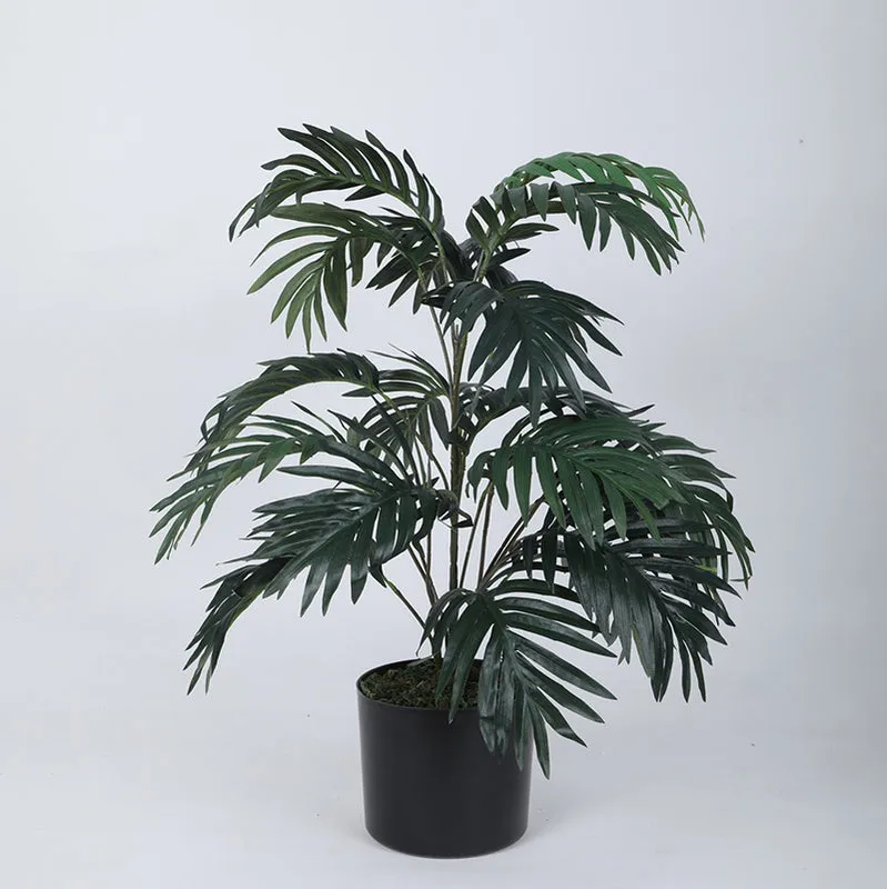 Faux Areca Prestoniana Plant - 2.4 Feet media 2