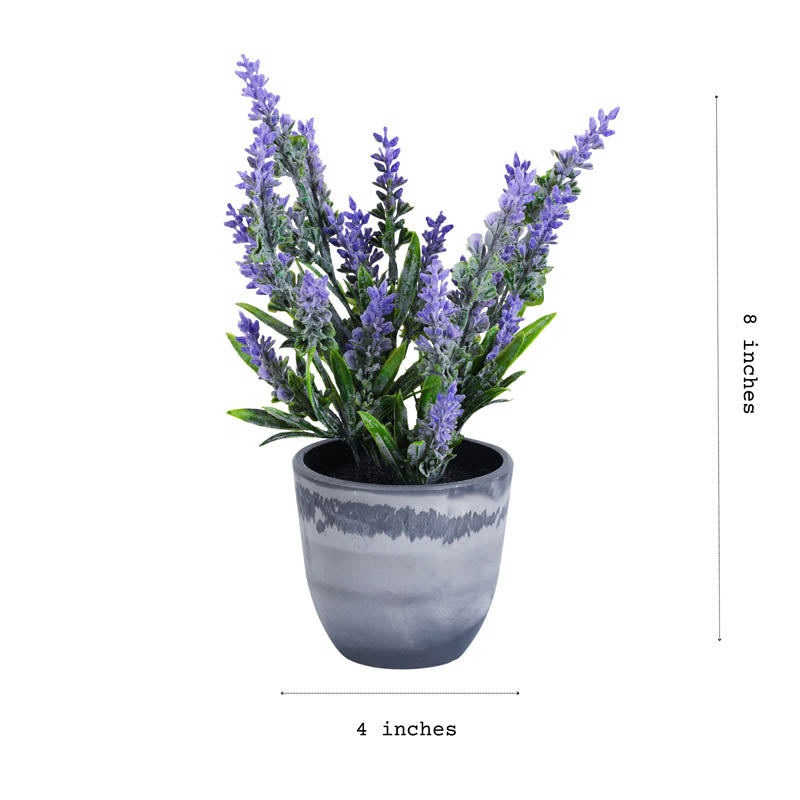 Artificial Purple Lavender Plant With Black Plastic Pot (Set Of Two) - 1 Feet media 5