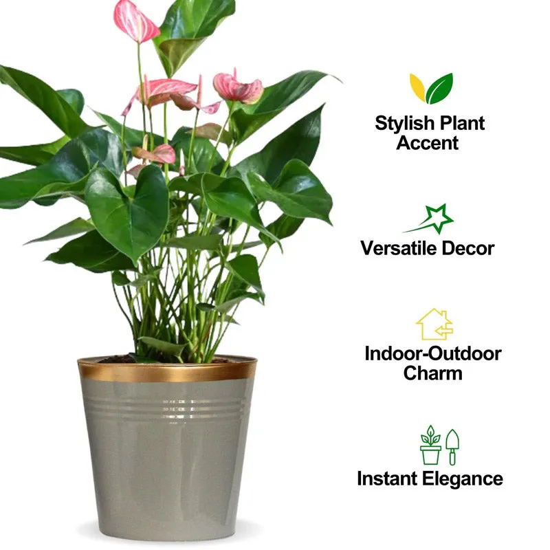 Anira Grey Planter media 9