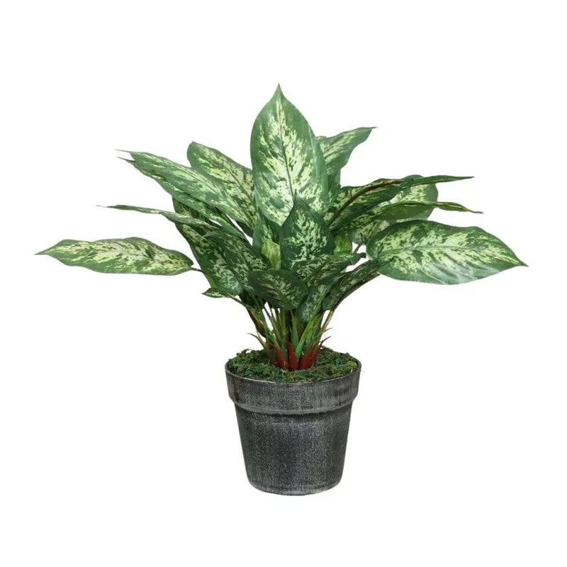Artificial Dieffenbachia Plant Without Pot - 1 Feet media 6