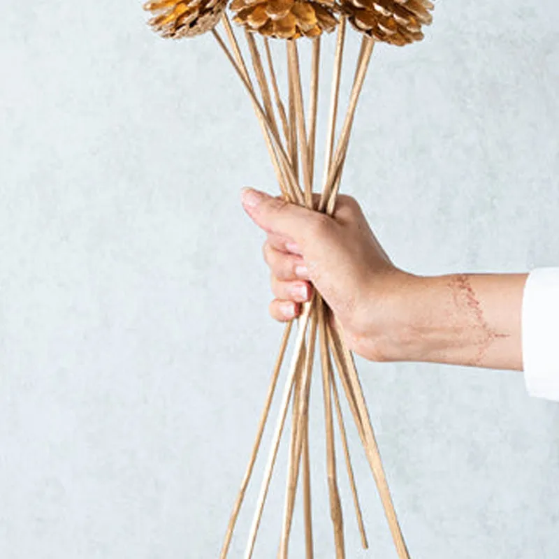 Enoira Dried Pine Cone Stick (Gold) -Set Of Ten media 5