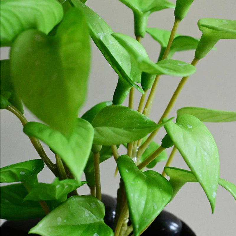 Moniva Artificial Pothos/Money Plant With Black Plastic Pot (Light Green) - 19 cm media 4