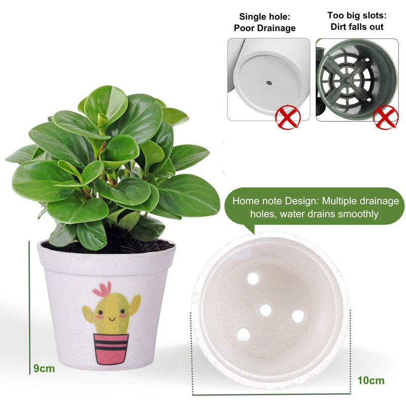 Cactus Cutie Planter media 5