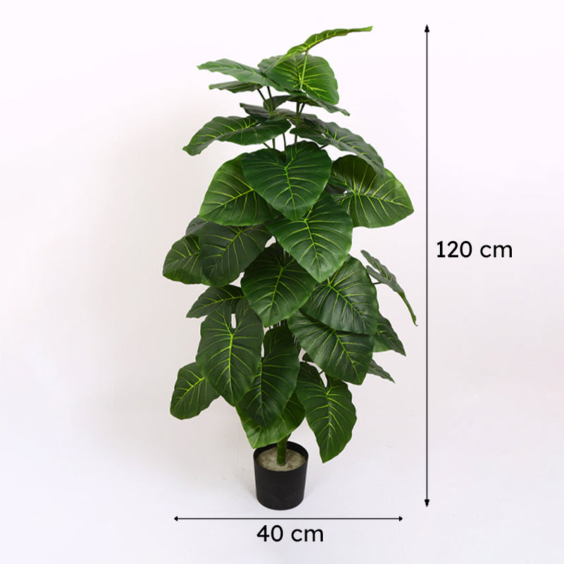 Verdiq Artificial Alocasia With Black Plastic Pot - 4 Feet media 8