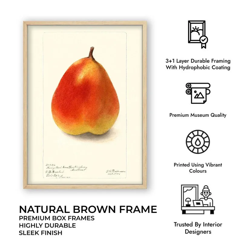 FruitPunch Archival Canvas Wall Art - Brown media 11