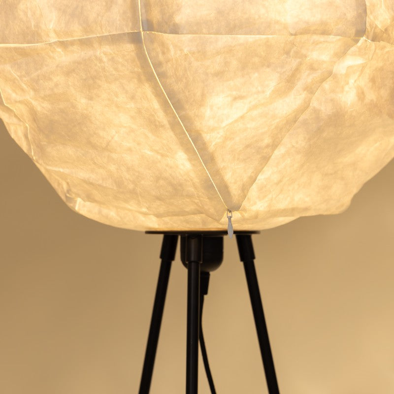 Fig Living Luna Floor Lamp media 6