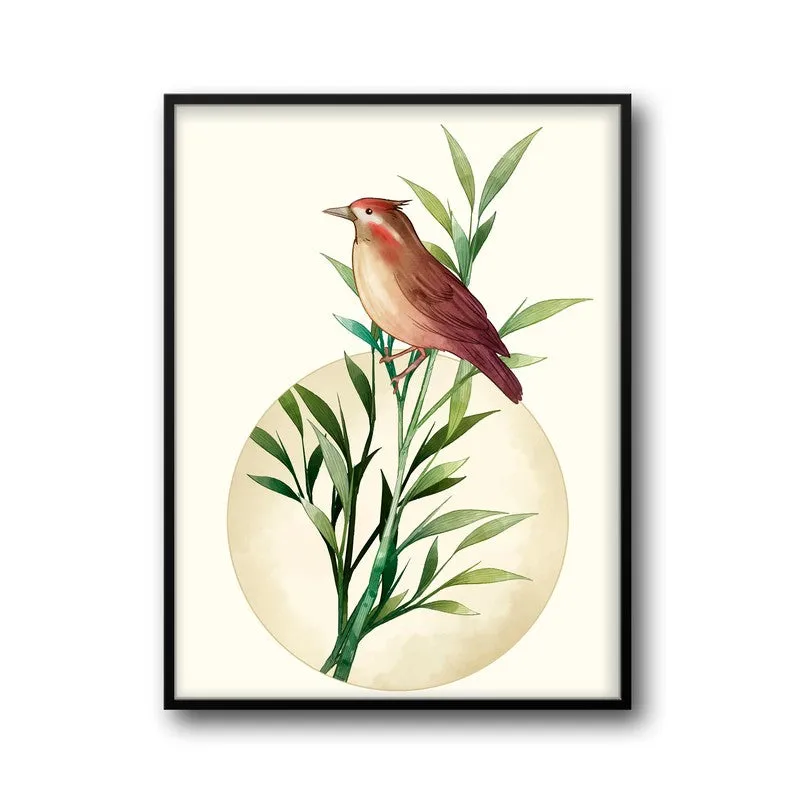 Wing & Willow Botanical Archival Paper Wall Art With Frame media 5