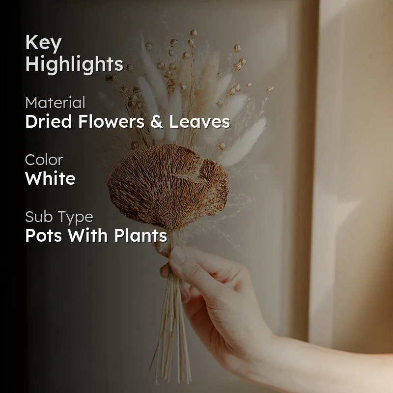 Sol Dried Flower Bunch media 2