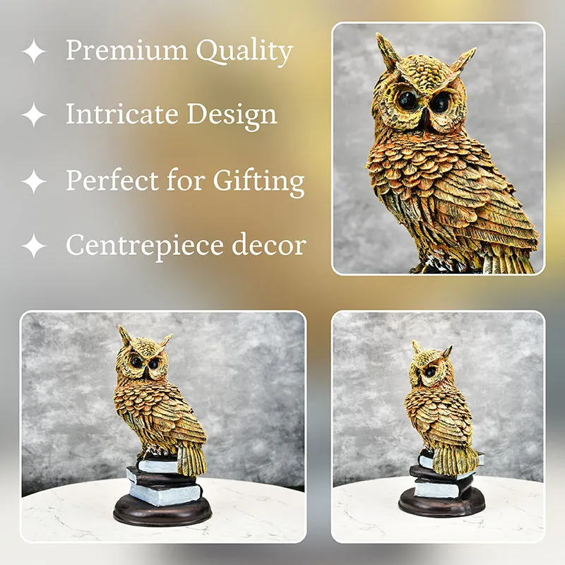 The Wise Owl Resin Showpiece media 3