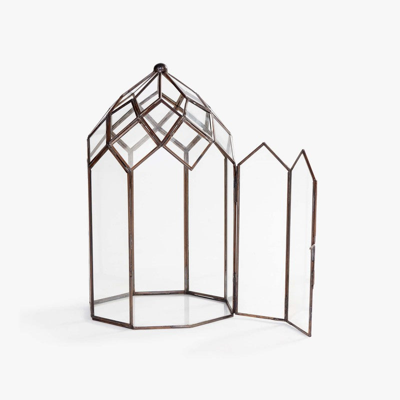 Orange Tree June Lantern media 3