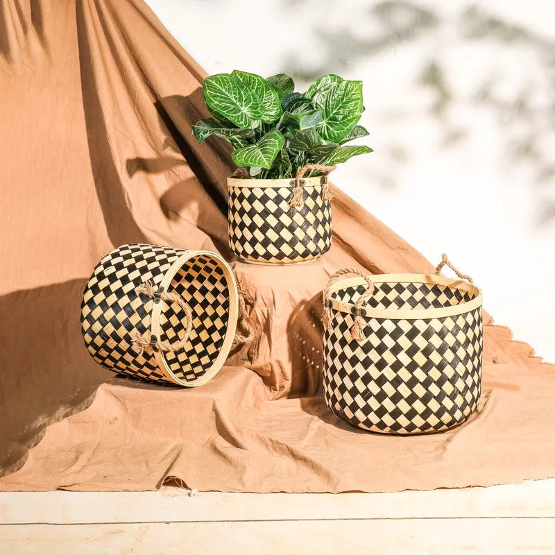 Three bamboo planters arranged on fabric, with one holding a leafy green plant.