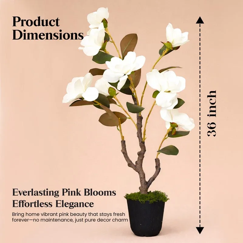EternaFlora Magnolia Artificial Plant With Black Plastic Pot - 91 cm (3 ft) media 12