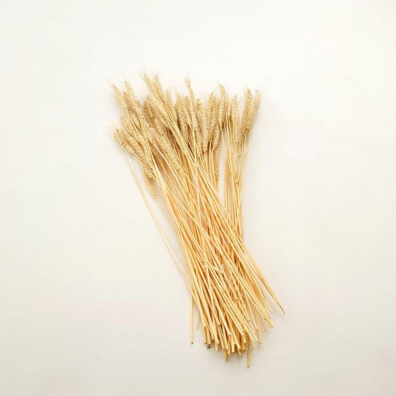 (Beige) Dried Wheat Stems (60 cms) - Set Of Twenty Five media 3