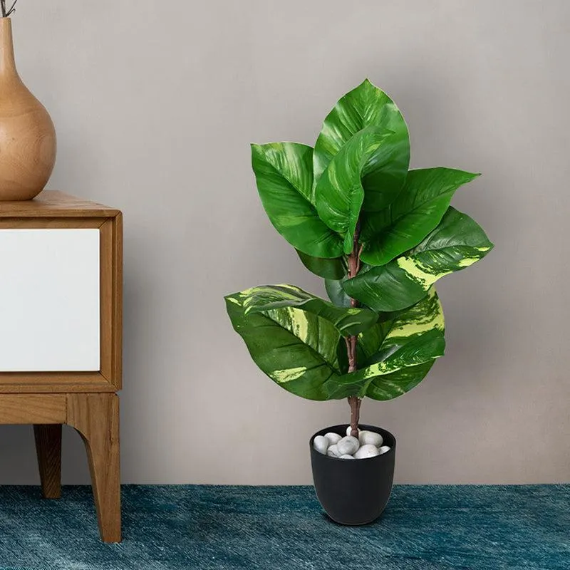 Faux Everlasting Dieffenbachia Plant With Black Plastic Pot - 58 cm - 3