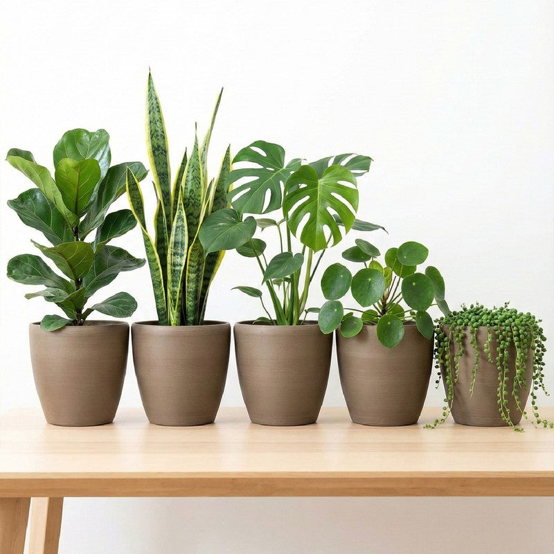 Aria Garden Planter - Set Of Five media 2