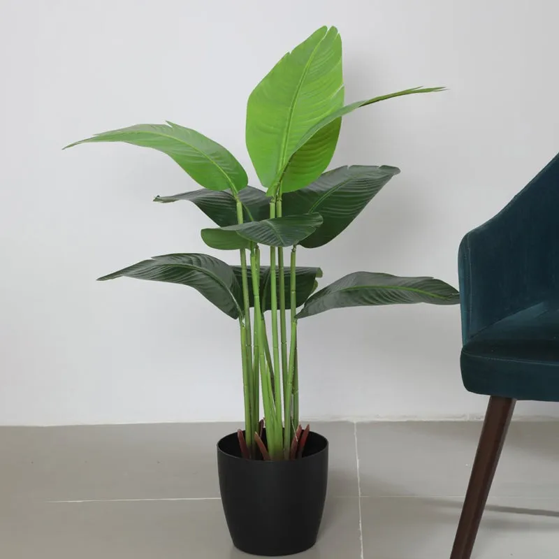 EverFresh Banana Plant With Black Fiber Pot - 3.6 Feet media 4