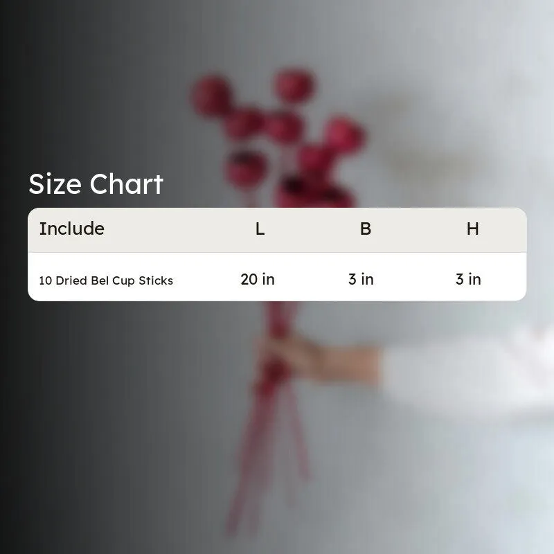 Glittee Red Dried Bell Cup Stick - Set Of Ten media 6