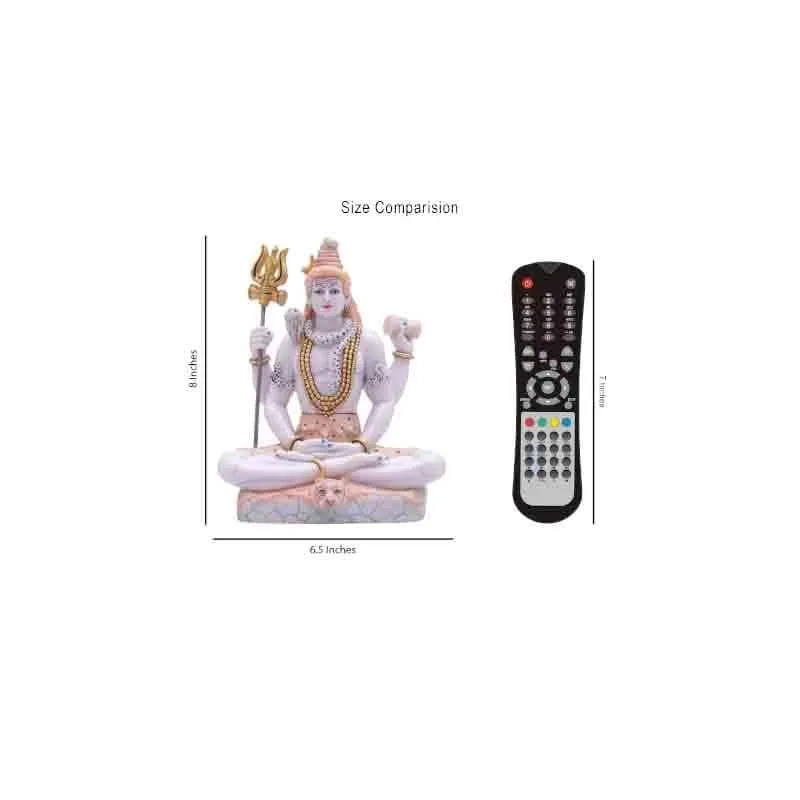 Shiv Shambhu Idol media 7