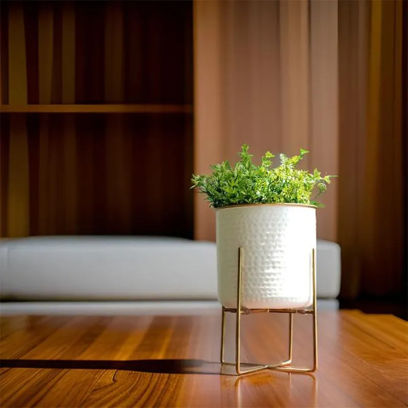 Rhaella Iron Planter - Big media 3