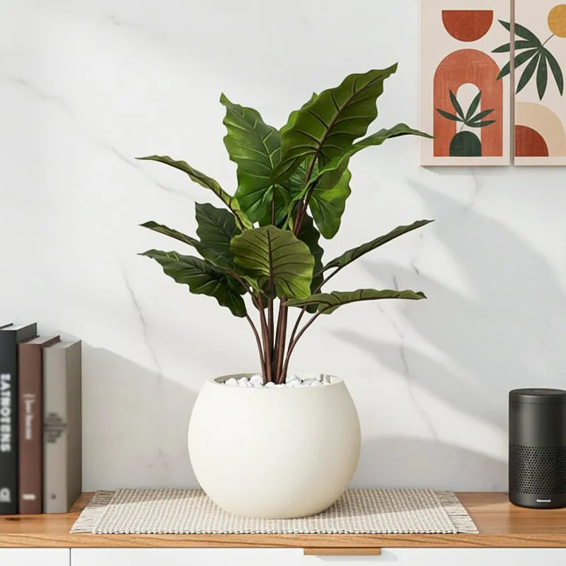 Faux Everlasting Alocasia Plant With Black Plastic Pot - 90 cm (3 ft) media 1