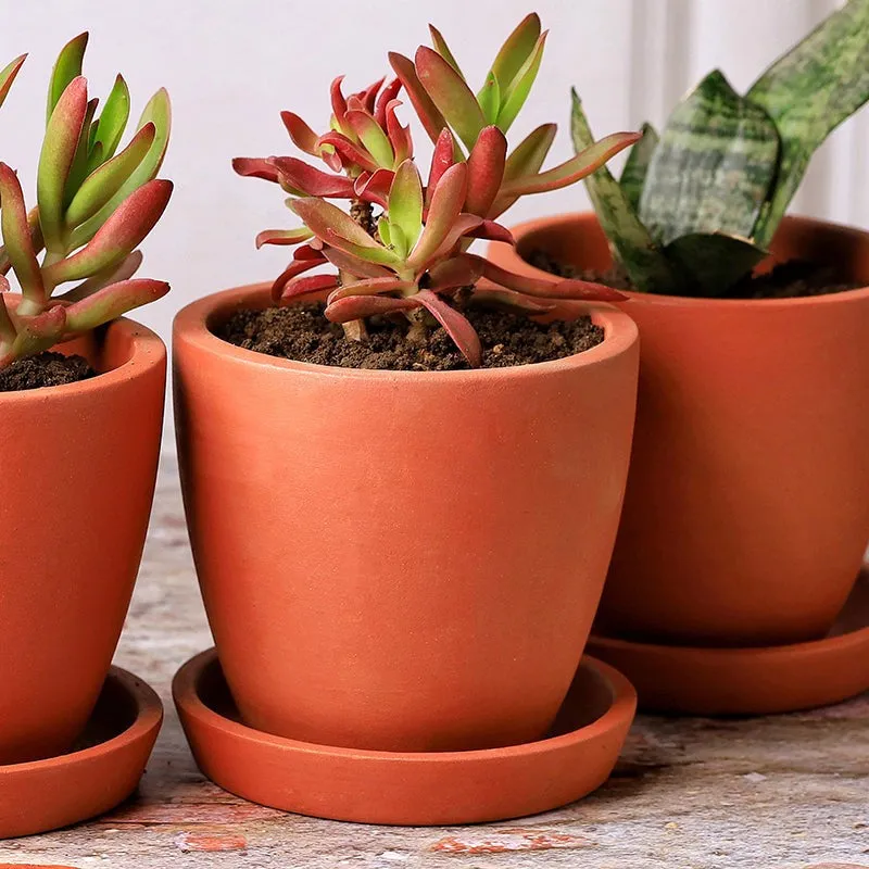 Mud Haus Terracotta Planter - Set Of Four media 4