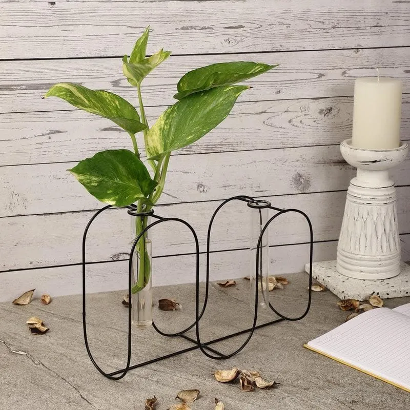 Dual Circuit Testube Planter media 1
