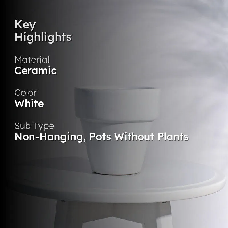 Ugaoo The Dream White Small Ceramic Pot media 2