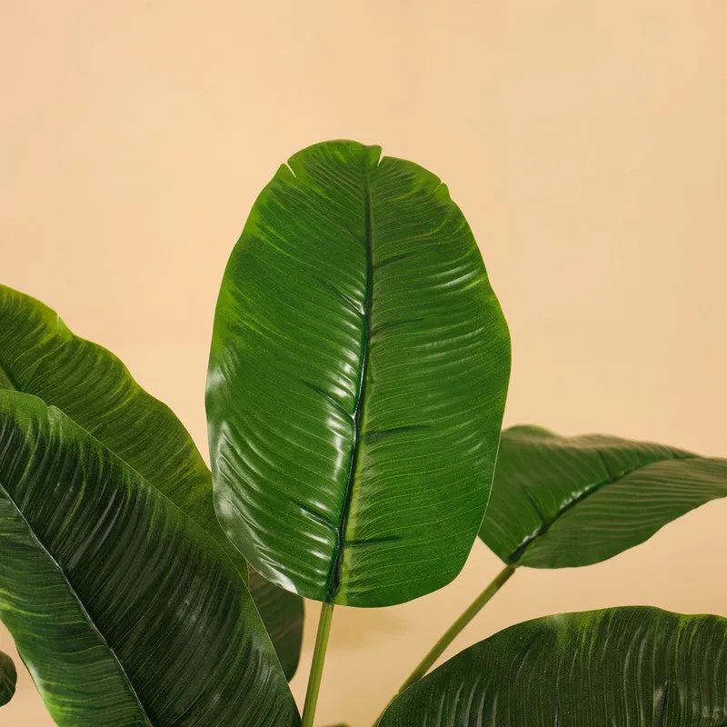 Artificial Banana Plant With Black Plastic Pot - 2 ft media 8