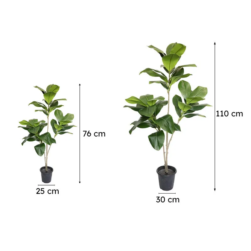 FleurSoft Artificial Fiddle Fig Plant With Black Plastic Pot media 4
