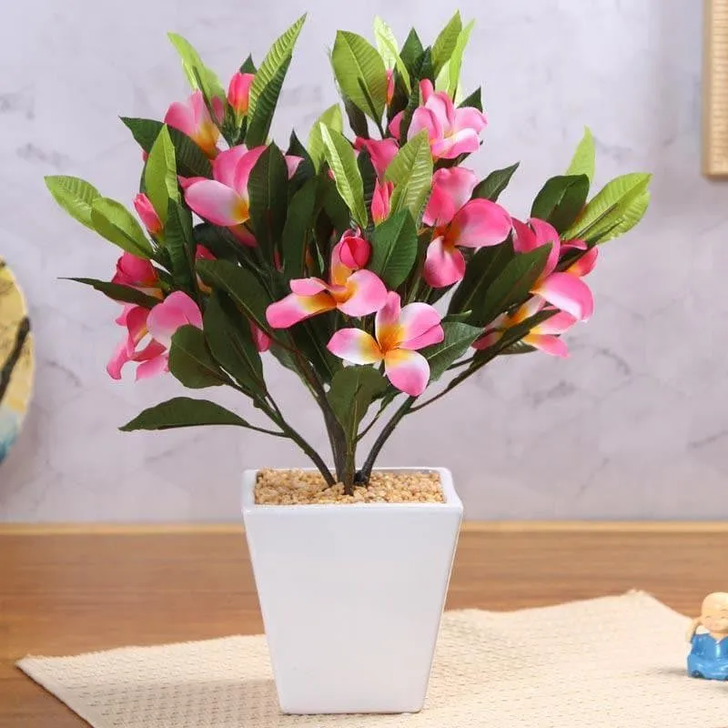 Faux Frangipani Bonsai (41 cms) - Pink media 2