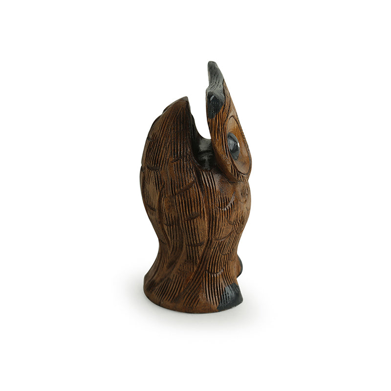 Drishti Hoot Eucalyptus Wood Spectacle Holder media 3