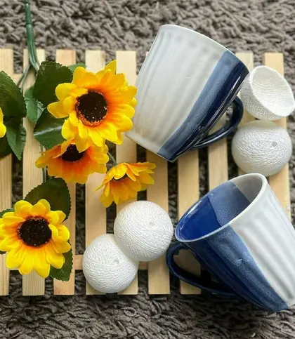 Ceramic