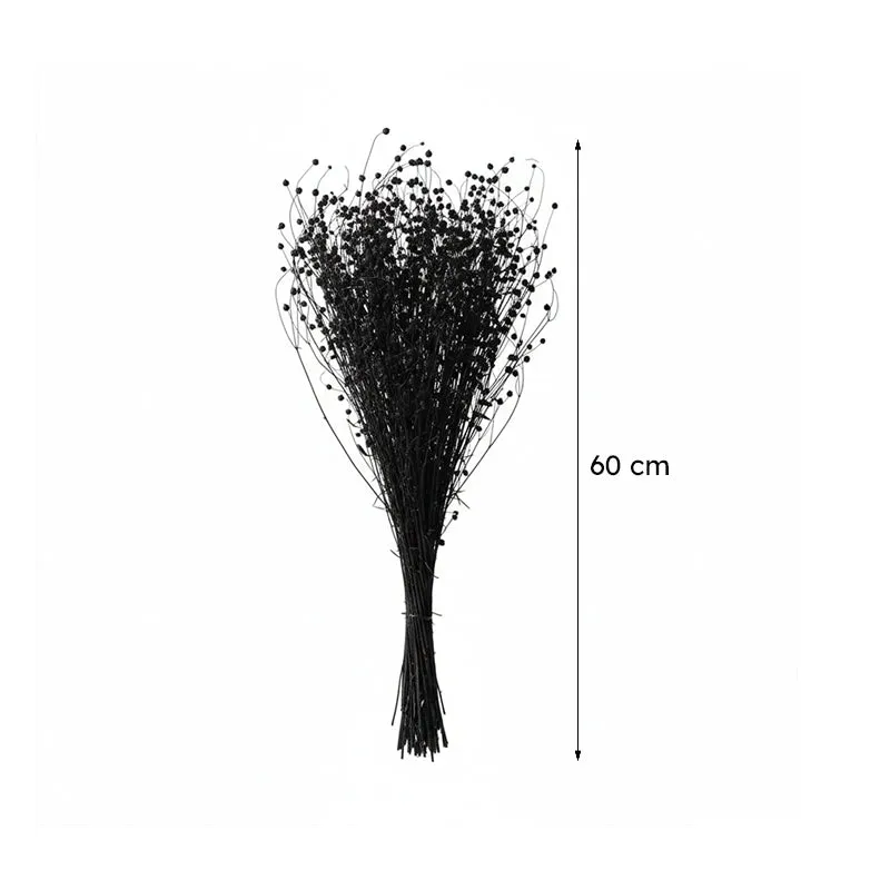Loopa Millet Grass Dried Lino Bunch - Black media 4