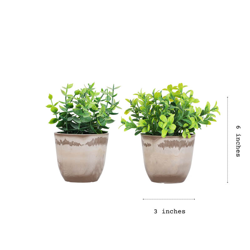 Artificial Mini Green Bush With Black Plastic Pot (Set Of Two) media 5
