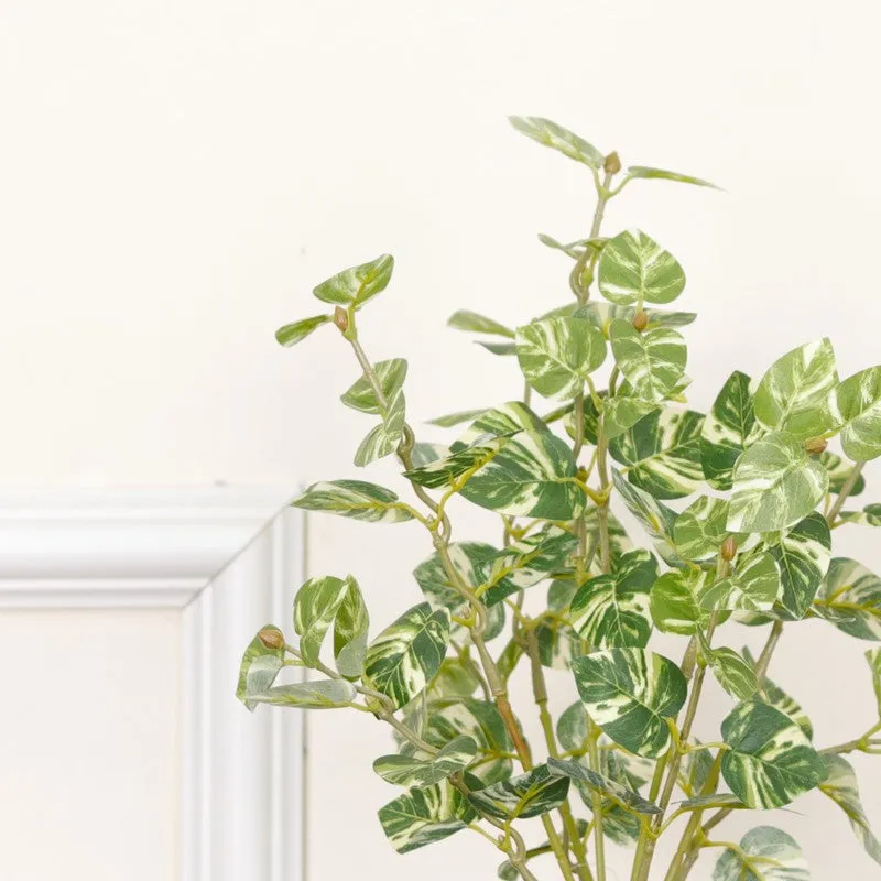 Artificial Pothos Plant With Black Fiber Pot (White) - 1 Feet media 6