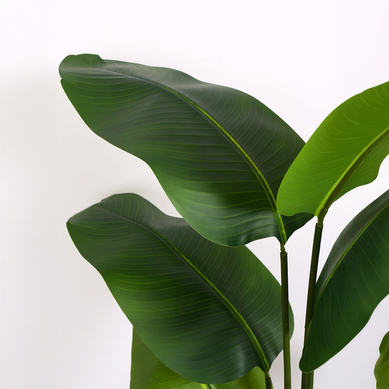 Verdiq Artificial Banana Plant With Black Plastic Pot - 5.2 Feet media 5
